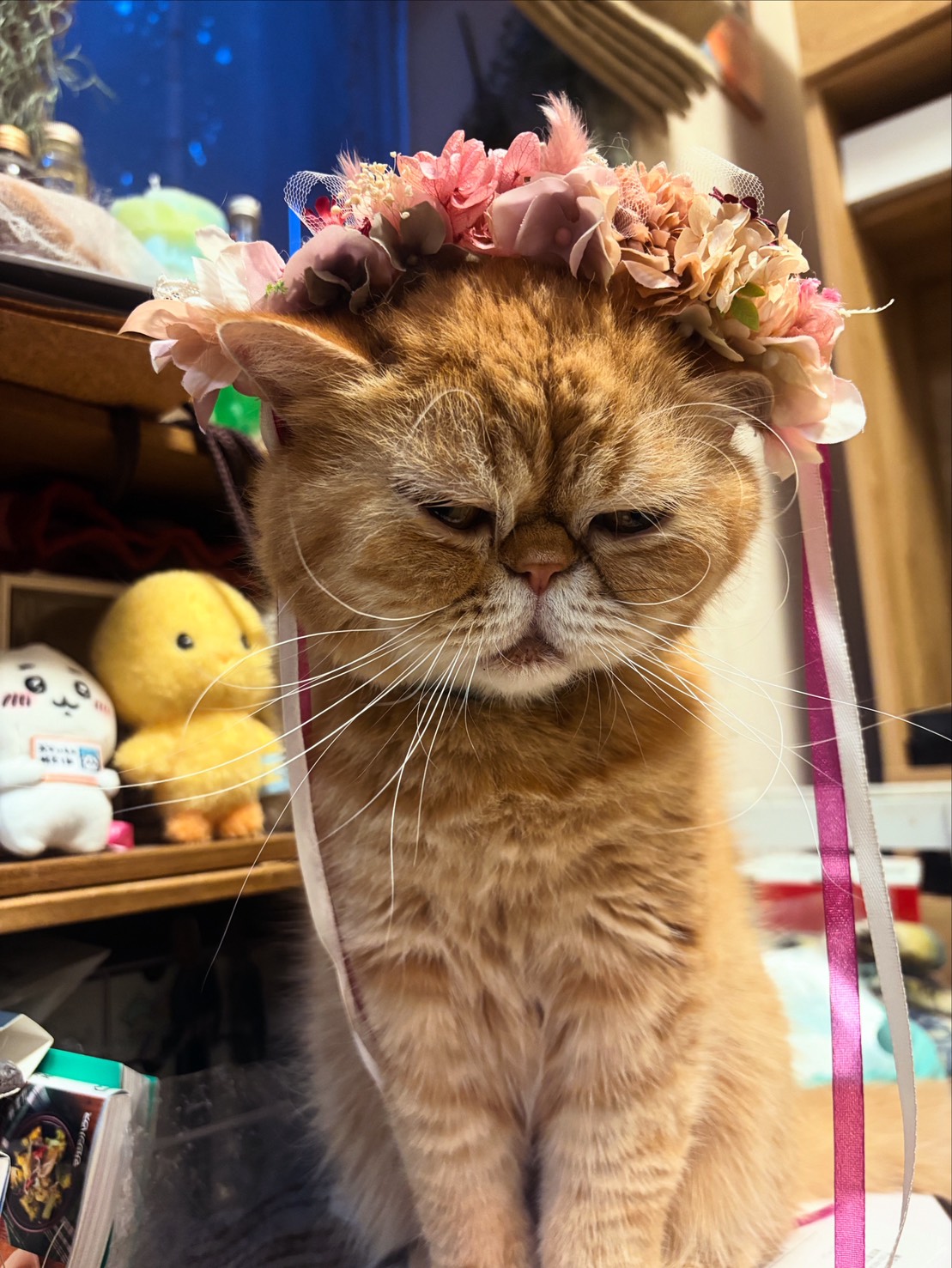 やわらか花かんむり
